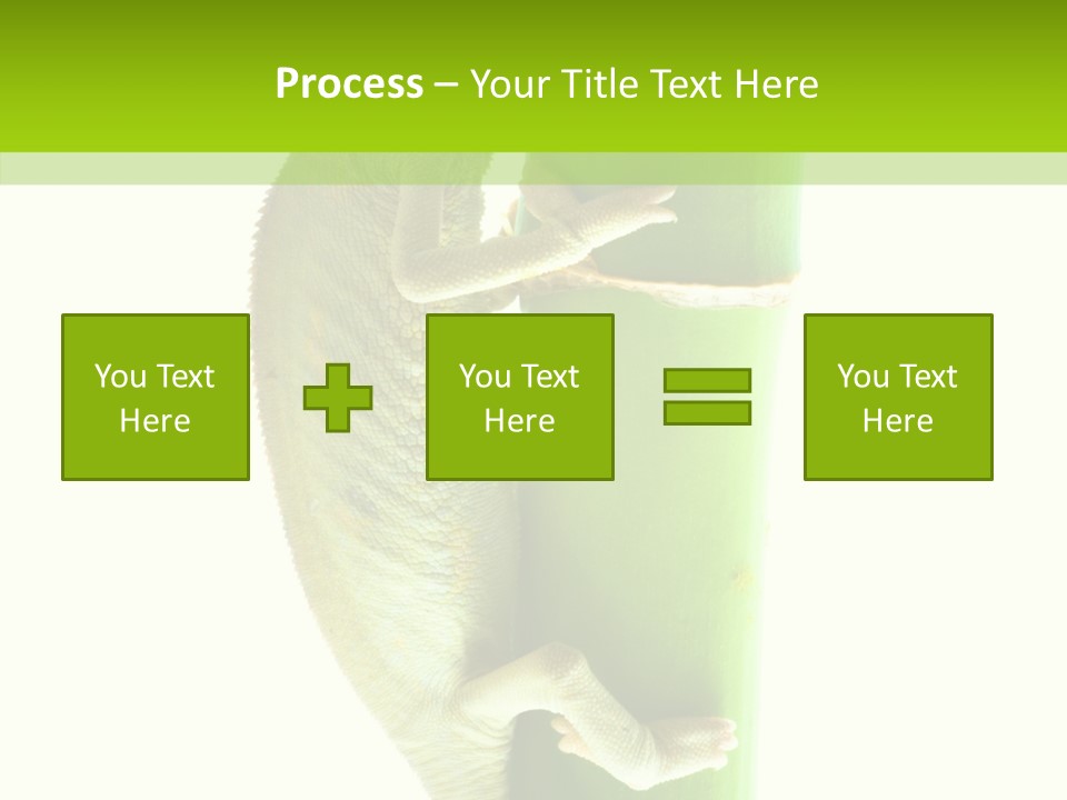 Arboricole Isolated Wild PowerPoint Template