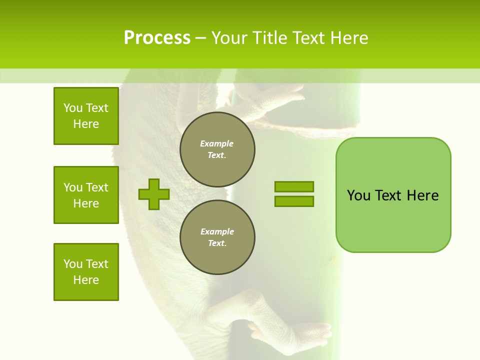 Arboricole Isolated Wild PowerPoint Template