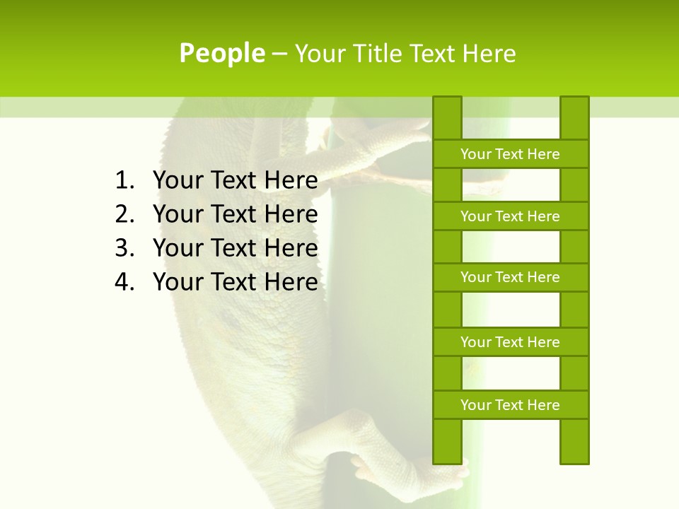 Arboricole Isolated Wild PowerPoint Template