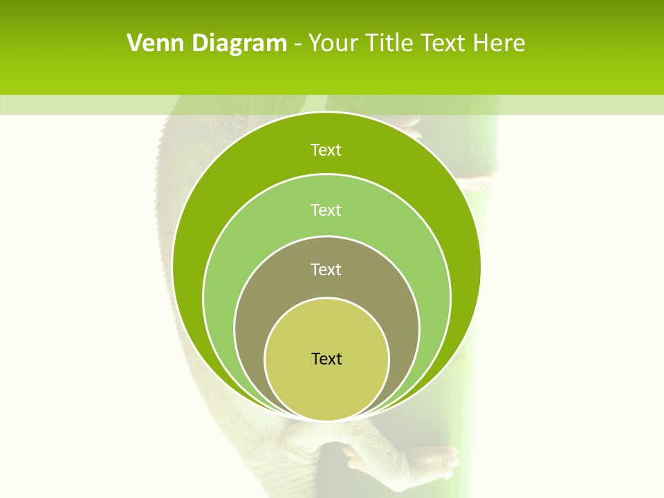 Arboricole Isolated Wild PowerPoint Template