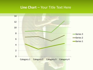 Arboricole Isolated Wild PowerPoint Template