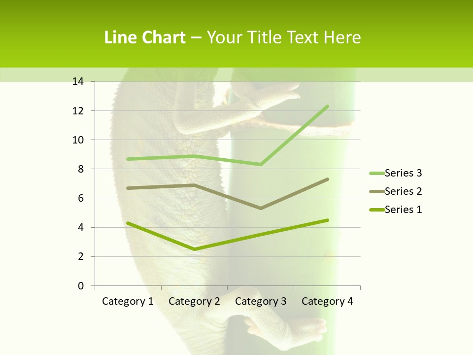 Arboricole Isolated Wild PowerPoint Template