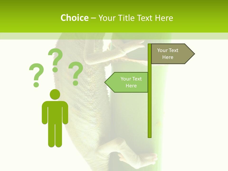 Arboricole Isolated Wild PowerPoint Template