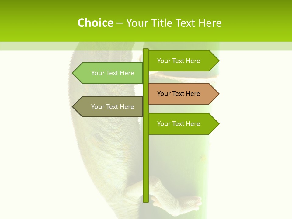 Arboricole Isolated Wild PowerPoint Template