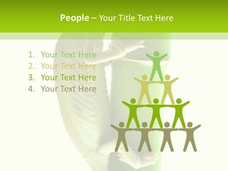 Arboricole Isolated Wild PowerPoint Template