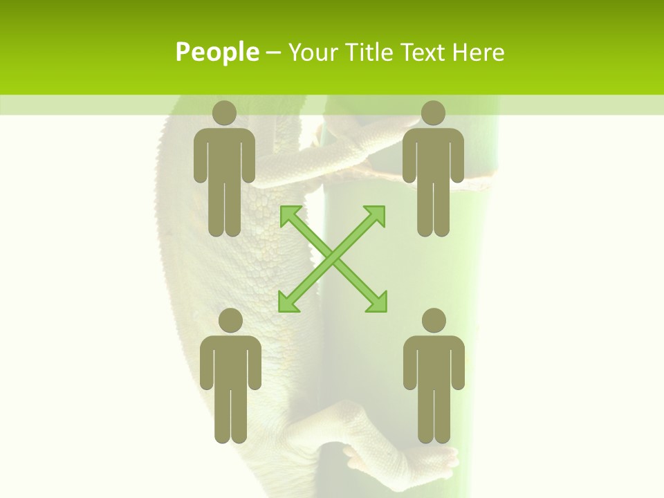 Arboricole Isolated Wild PowerPoint Template