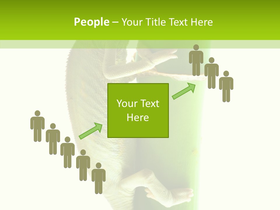 Arboricole Isolated Wild PowerPoint Template