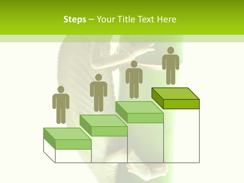 Arboricole Isolated Wild PowerPoint Template