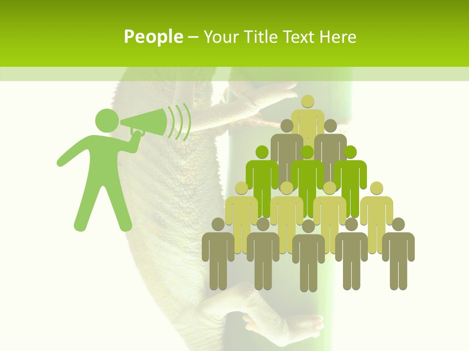 Arboricole Isolated Wild PowerPoint Template