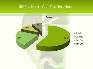 Arboricole Isolated Wild PowerPoint Template