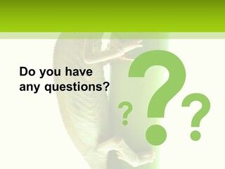 Arboricole Isolated Wild PowerPoint Template