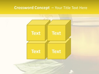 Background Indian Jasmine PowerPoint Template