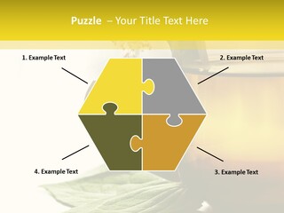 Background Indian Jasmine PowerPoint Template