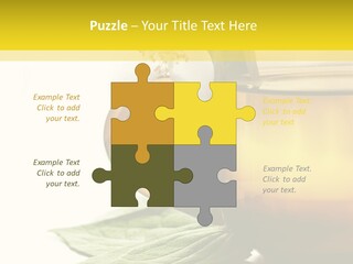 Background Indian Jasmine PowerPoint Template