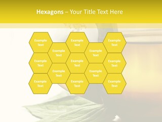 Background Indian Jasmine PowerPoint Template