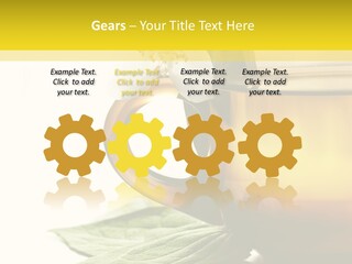 Background Indian Jasmine PowerPoint Template