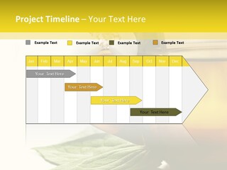 Background Indian Jasmine PowerPoint Template
