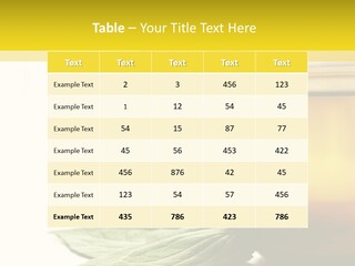 Background Indian Jasmine PowerPoint Template