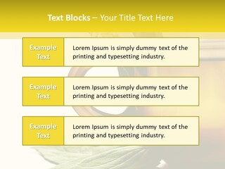 Background Indian Jasmine PowerPoint Template