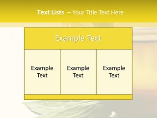 Background Indian Jasmine PowerPoint Template