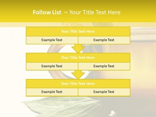 Background Indian Jasmine PowerPoint Template