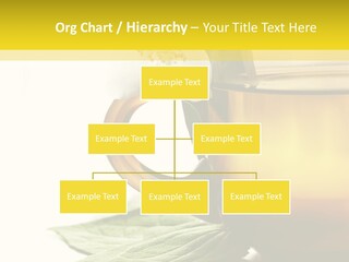 Background Indian Jasmine PowerPoint Template