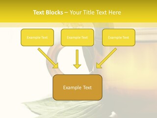 Background Indian Jasmine PowerPoint Template