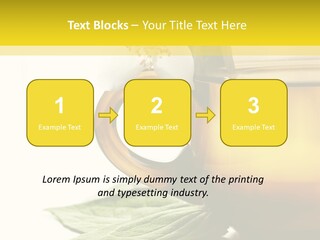 Background Indian Jasmine PowerPoint Template