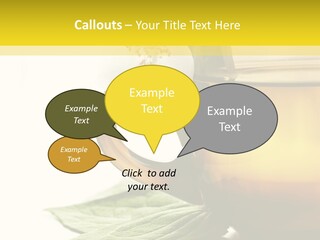 Background Indian Jasmine PowerPoint Template