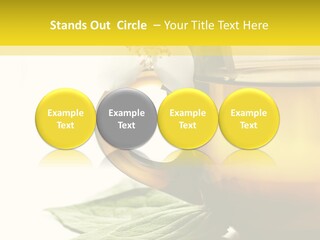 Background Indian Jasmine PowerPoint Template