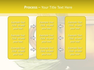 Background Indian Jasmine PowerPoint Template