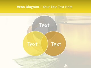 Background Indian Jasmine PowerPoint Template