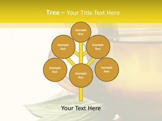 Background Indian Jasmine PowerPoint Template