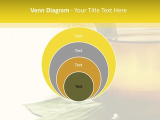 Background Indian Jasmine PowerPoint Template