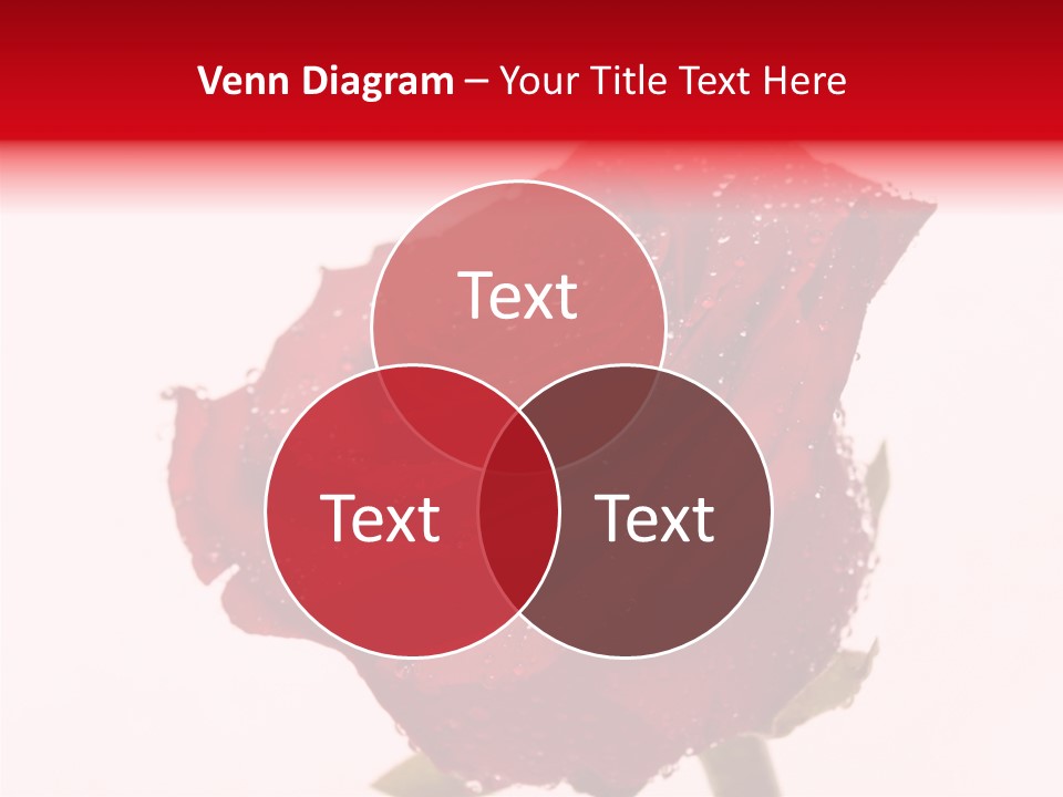 Holiday Bud Moisture PowerPoint Template