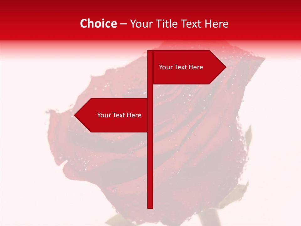 Holiday Bud Moisture PowerPoint Template