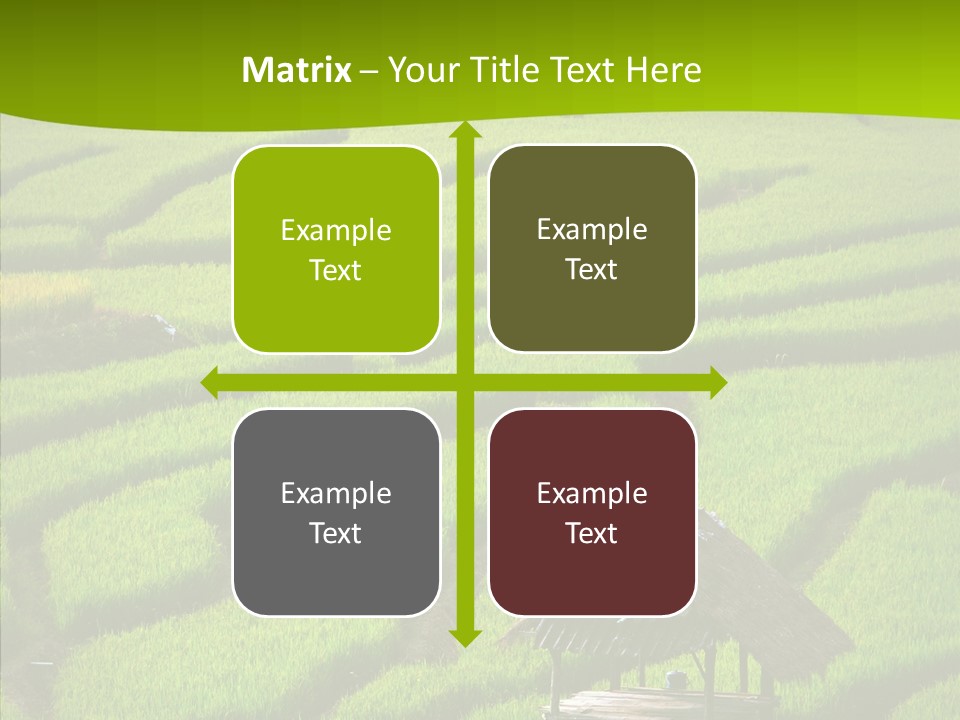 Green Steps Food PowerPoint Template