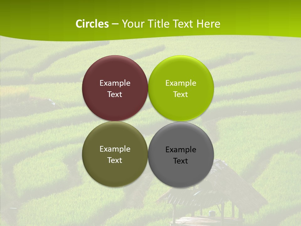 Green Steps Food PowerPoint Template