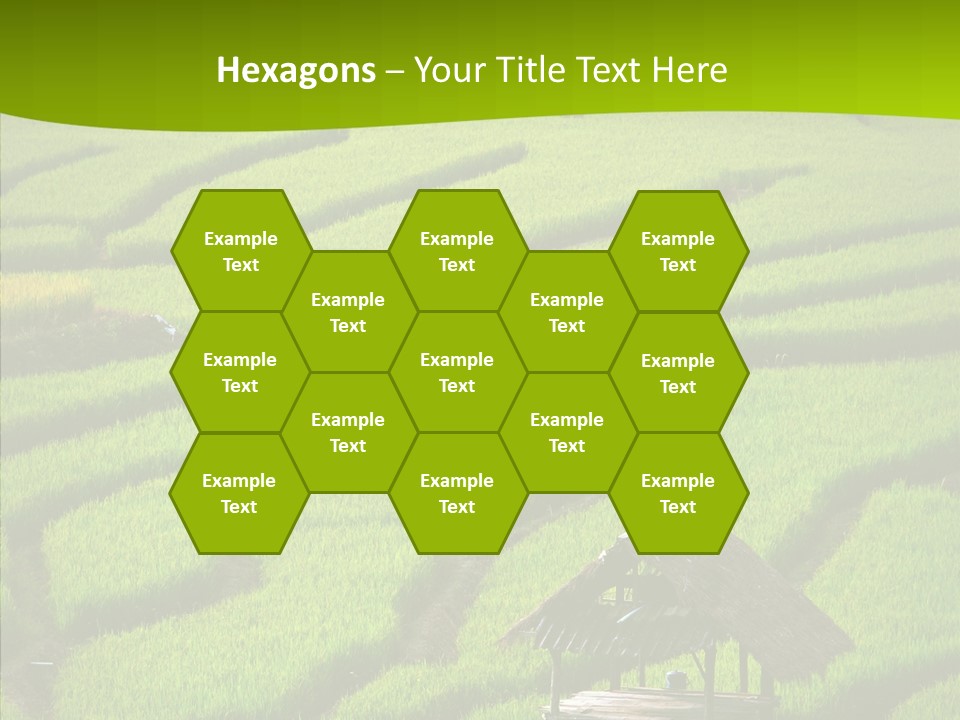 Green Steps Food PowerPoint Template