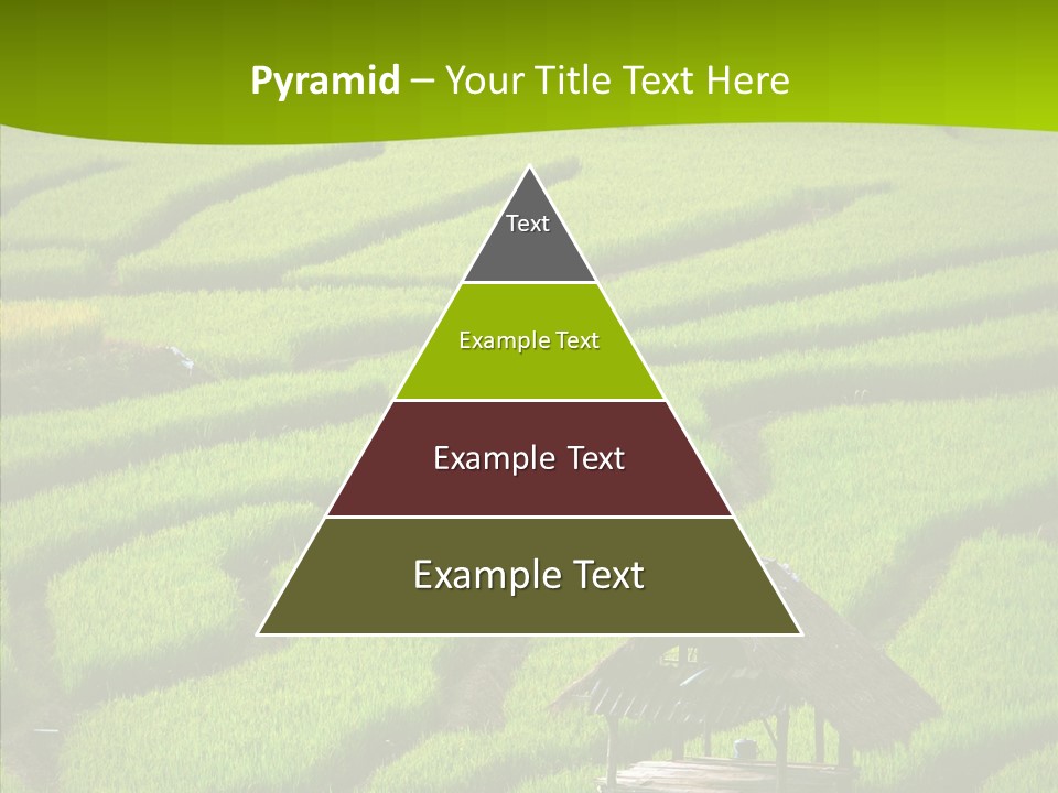 Green Steps Food PowerPoint Template