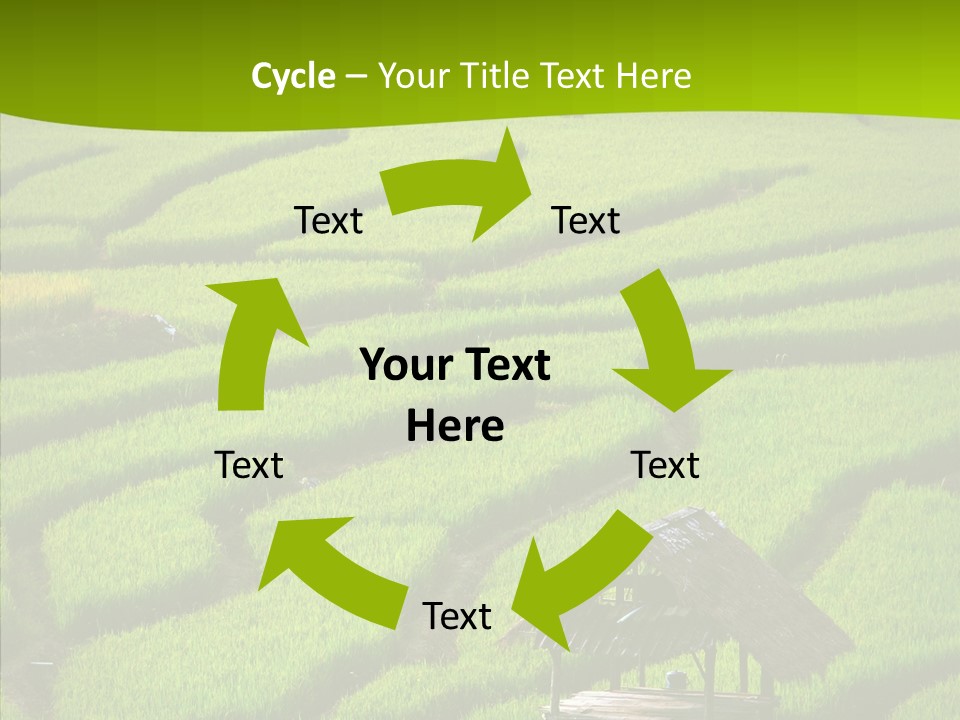 Green Steps Food PowerPoint Template