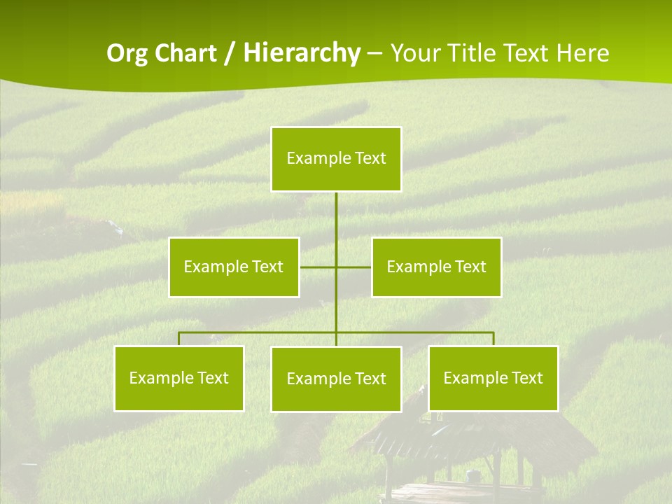 Green Steps Food PowerPoint Template