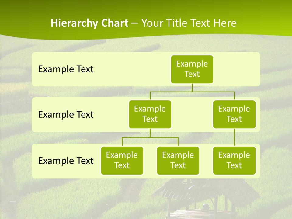 Green Steps Food PowerPoint Template