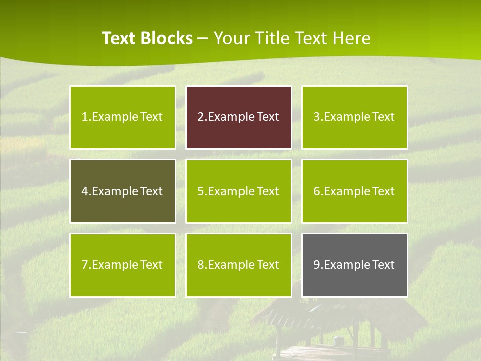 Green Steps Food PowerPoint Template