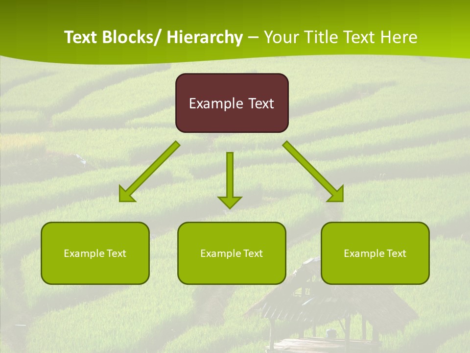 Green Steps Food PowerPoint Template