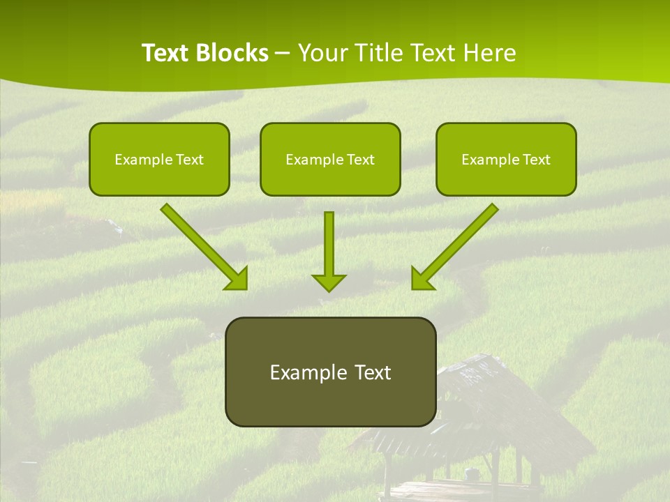 Green Steps Food PowerPoint Template