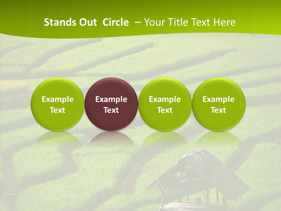 Green Steps Food PowerPoint Template