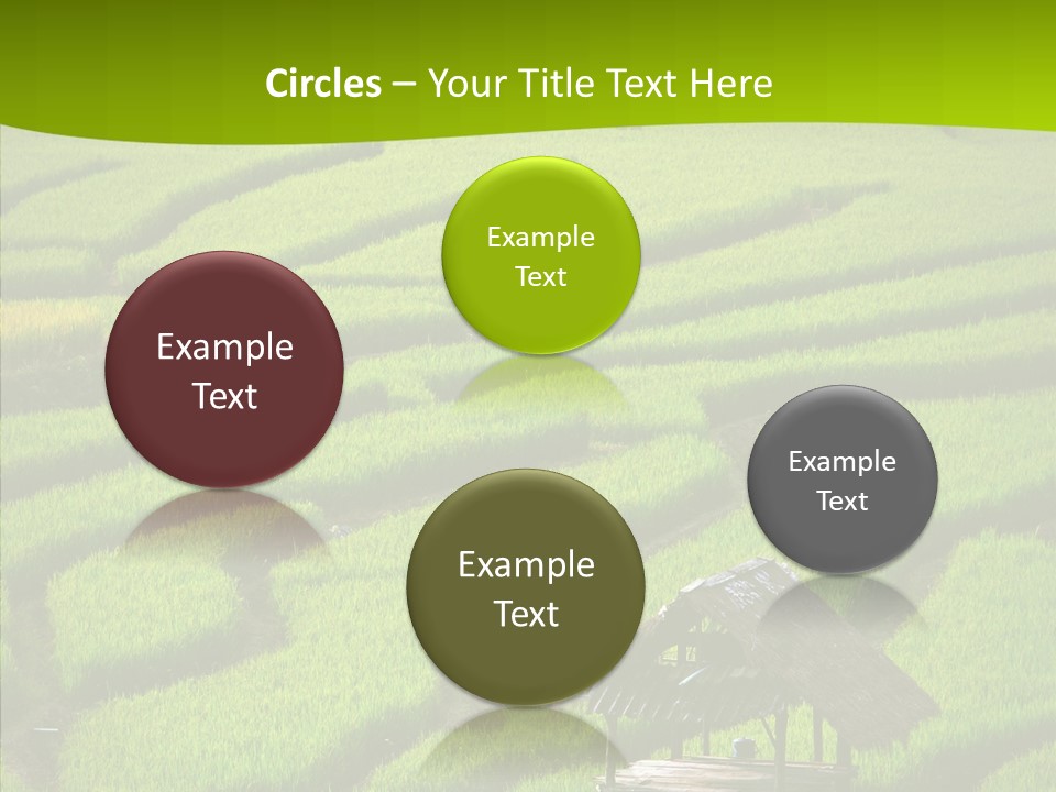 Green Steps Food PowerPoint Template