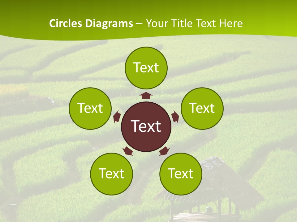 Green Steps Food PowerPoint Template