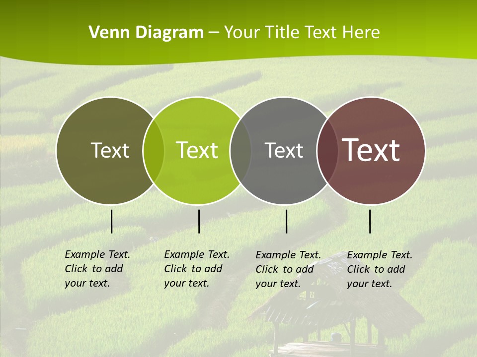 Green Steps Food PowerPoint Template